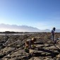 20120415-222922.jpg